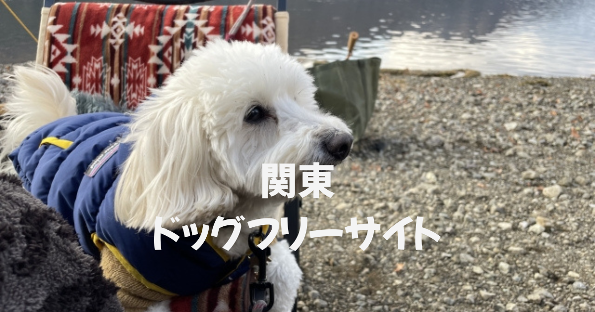 関東　ドッグフリーサイトキャンプ場
